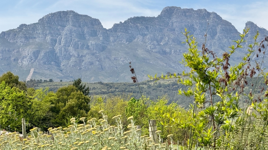 0 Bedroom Property for Sale in Weltevreden Hills Estate Western Cape